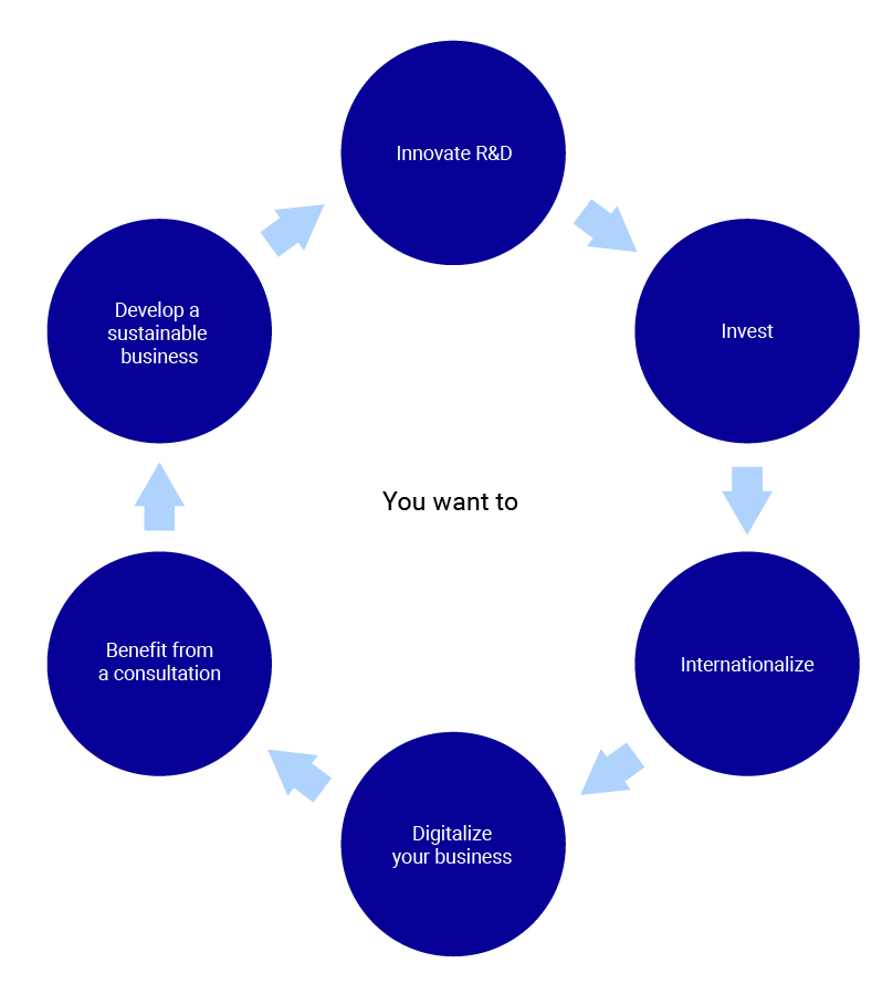 When to receive premiums in Flanders and subsidies in the Flemish region
